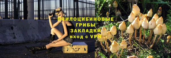 прущие крисы Абаза