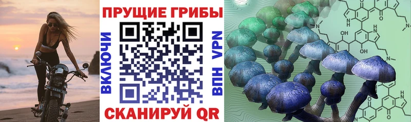 Галлюциногенные грибы мухоморы  Усолье 